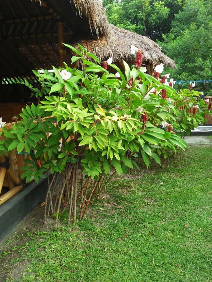 Tua Tua Keladi Bungalows Gili Air Exteriör bild