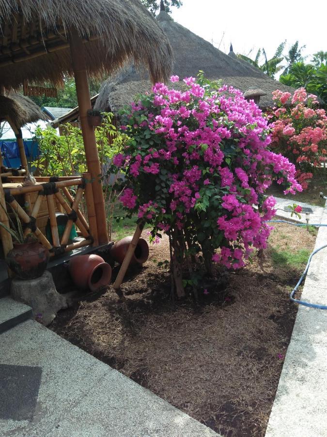 Tua Tua Keladi Bungalows Gili Air Exteriör bild